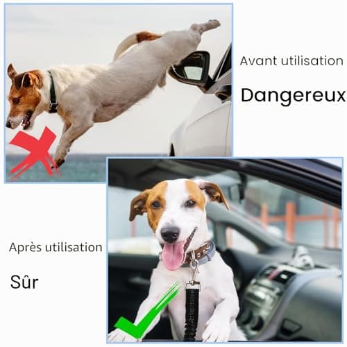 Ceinture Voiture Chien Nutabevr Lot de 2 Réglable