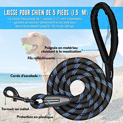 Laisse corde Candure Blauw-5ft 1,52 m poignée rembourrée