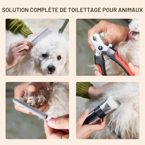 Tondeuse chien BarberBoss QR-9082 sans fil silencieuse