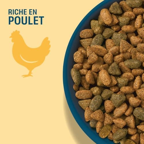 Croquettes Perfect Fit Senior 11+ Poulet Chat 5x1,4 kg