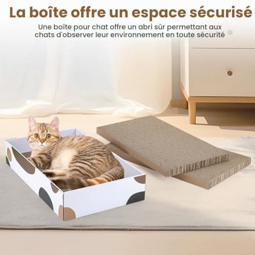 Griffoir chat carton PETTOM 3 plaques avec boîte