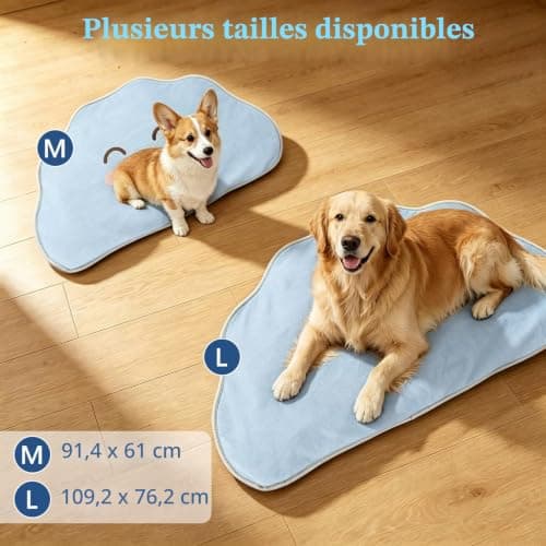 Tapis rafraîchissant RIOGOO lavable 110 x 76 cm