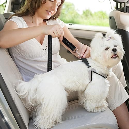 Ceinture Voiture Chien Nutabevr Lot de 2 Réglable