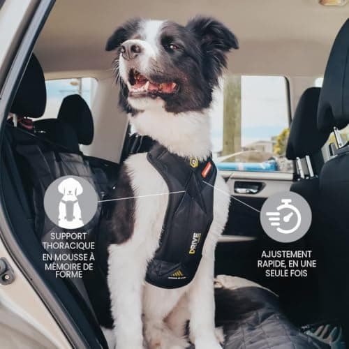 Harnais voiture EzyDog Drive taille S
