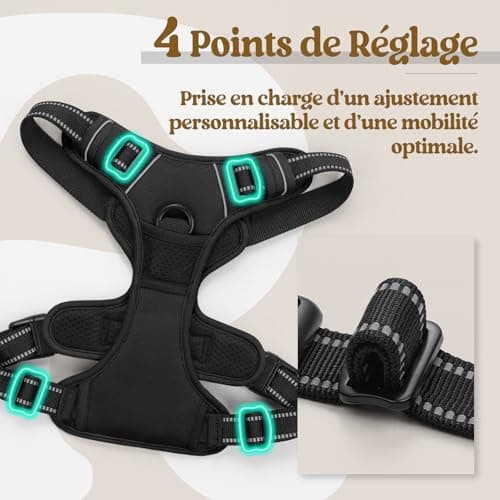 Harnais Anti-Traction rabbitgoo avec Poignée - Taille L