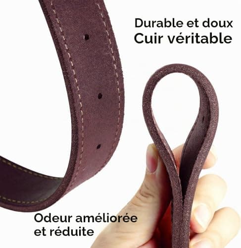 Collier cuir gravé SLZZ 2,5 cm pour chien moyen
