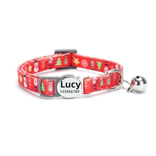 Collier chat Moonpet gravé nom et numéro, 19 à 30 cm