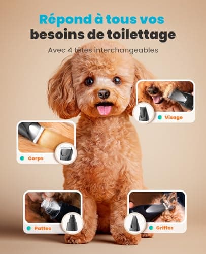 Tondeuse chien oneisall FC10 4-en-1 avec lumière LED