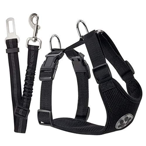 Harnais voiture chien SlowTon avec sangle taille M