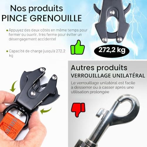 Laisse VAANNQOUU VQ-GS bungee à clip grenouille