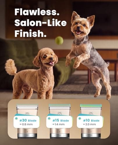 Tondeuse chien oneisall X2 dorée silencieuse