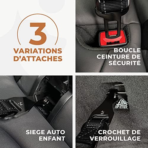 Ceinture voiture chien Wuglo 3 fixations 30-95 cm
