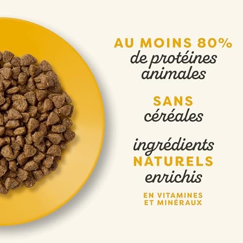 Applaws Natural Complete Croquettes Chaton Poulet 400 g