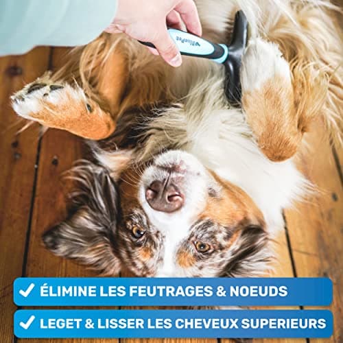 Peigne démêloir BluePet GlanzTanz 2 rangées poil long