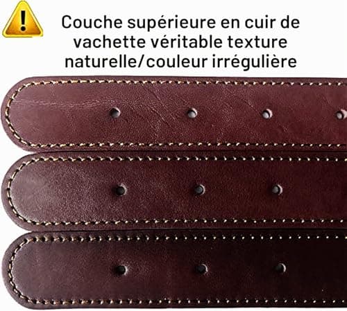 Collier cuir gravé SLZZ 2,5 cm pour chien moyen