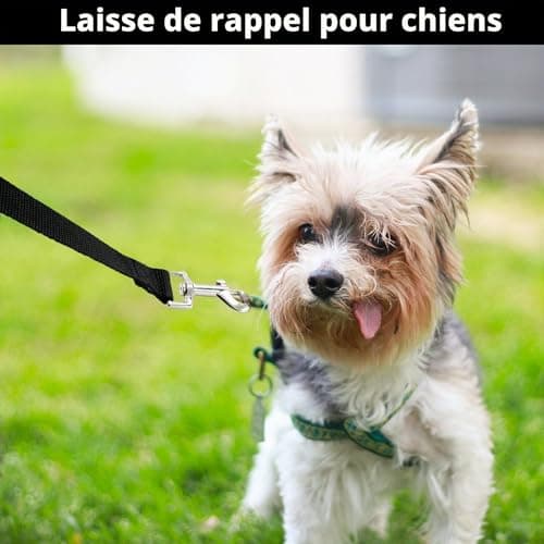 Longe CiciIng 5 m à dragonne pour petit chien