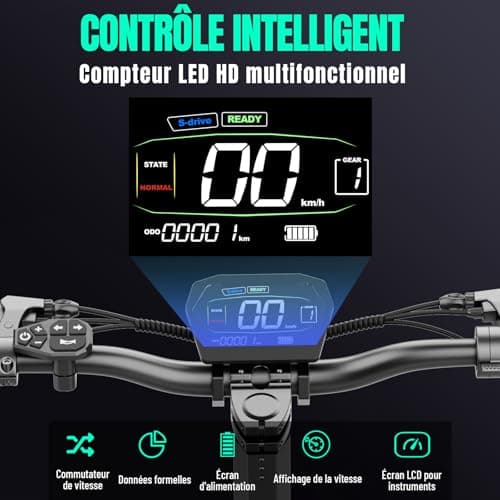 TODIMART G2 Trottinette 500W Tout Terrain