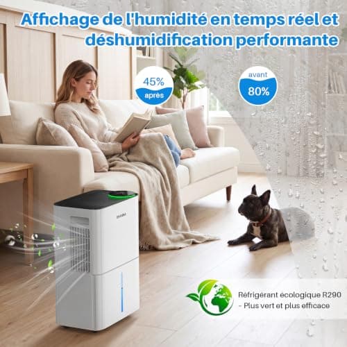 Déshumidificateur SHANNA 15 L/j à compresseur 40 m²