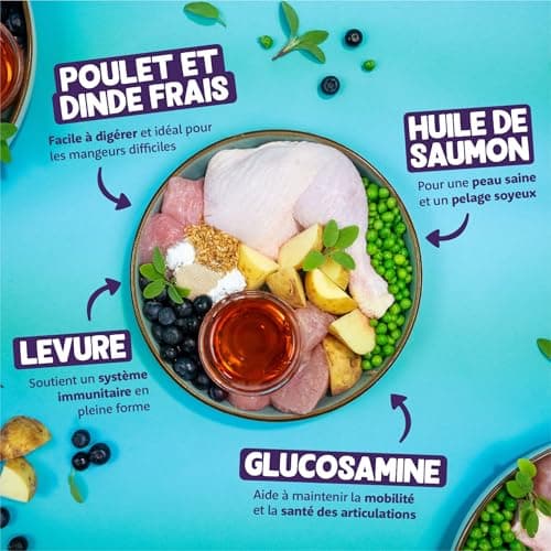 Croquettes Chat Senior Edgard Cooper Dinde et Poulet 2 kg