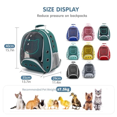Sac à dos bulle PETCUTE pour chat avec laisse intégrée
