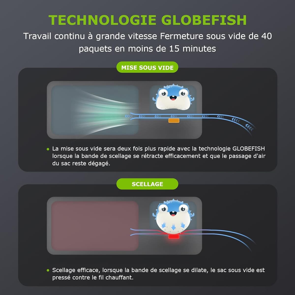 Machine Sous Vide Bonsenkitchen - Conservation Optimale des Aliments