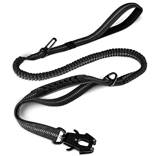 Laisse bungee Joytale J-A36004 à clip grenouille