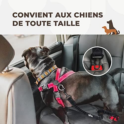 Ceinture Chien Voiture Wuglo Élastique Taille Unique