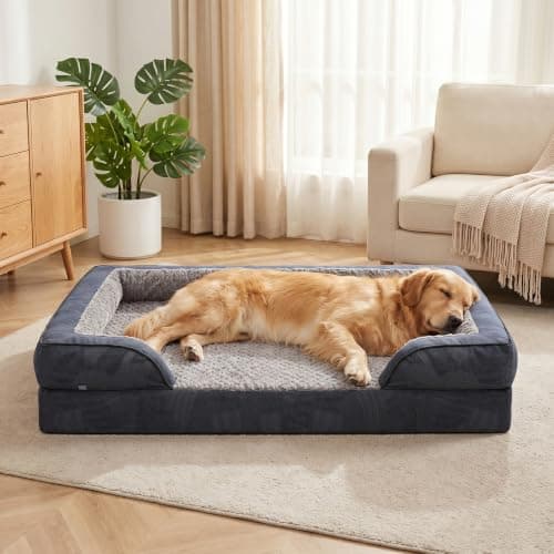 Panier Chien XL JOEJOY Orthopédique Déhoussable