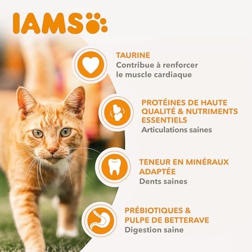 Croquettes IAMS Chat Senior 7+ Poulet Frais 3 kg