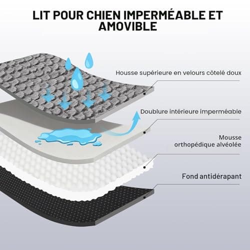 Panier Chien XL JOEJOY Orthopédique Déhoussable