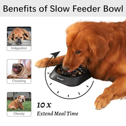 Gamelle Anti-Glouton MateeyLife 20 cm Chien Moyen