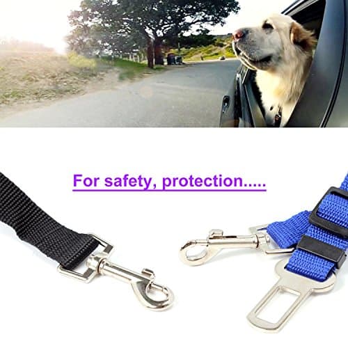 Neuftech Laisse Ceinture Sécurité Voiture Chien Chat