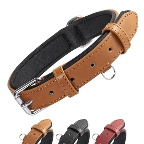 Collier Grand Line DC00LBROJOS cuir PU rembourré taille L