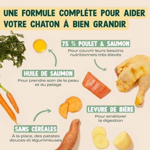 Croquettes Chaton Franklin Poulet et Saumon 3 kg