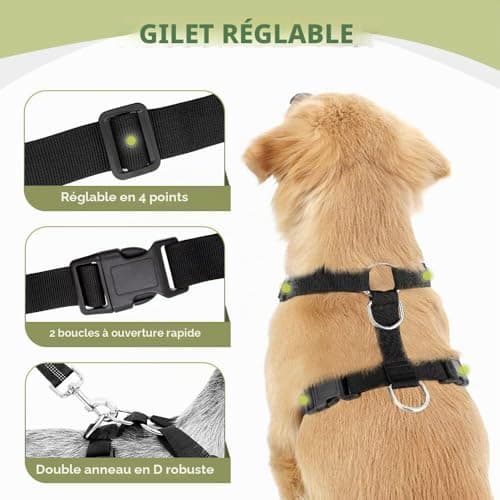 Harnais voiture chien SlowTon avec sangle taille M