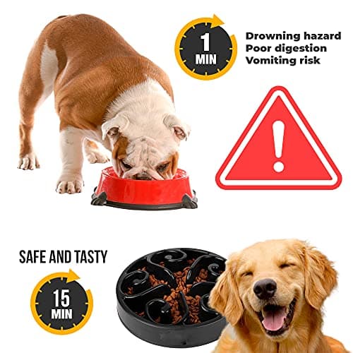 Gamelle Anti-Glouton Edipets Labyrinthe Chien et Chat
