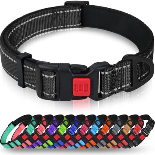 Collier chien Taglory DC062 néoprène 2,5 cm, taille M