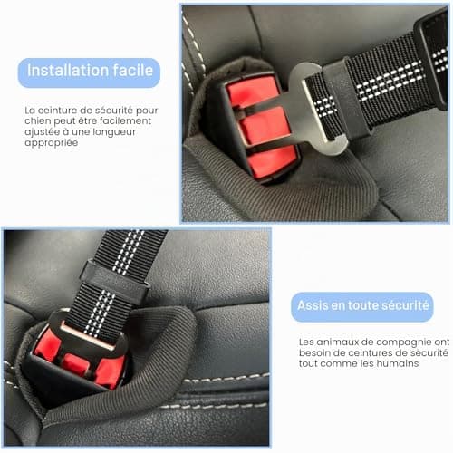Ceinture Voiture Chien Nutabevr Lot de 2 Réglable