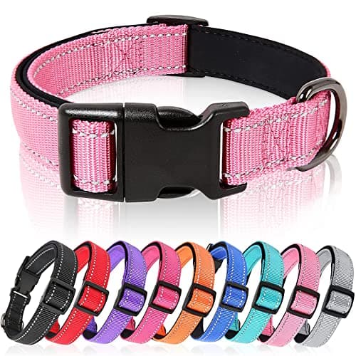 Collier HEELE néoprène rembourré XS chiot 20-30 cm