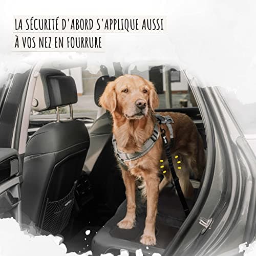 Ceinture Chien Voiture Rudelkönig Réglable 60-80 cm
