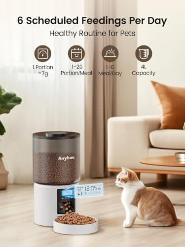 Distributeur Croquettes Anykuu 4 L - 6 Repas Programmables