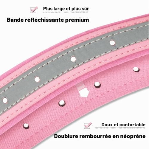 Collier Senristar néoprène réfléchissant, plaque gravée