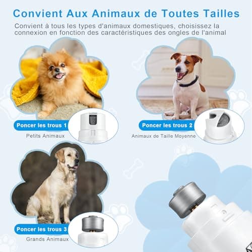 Coupe-griffes électrique Brifit à piles AA pour chien