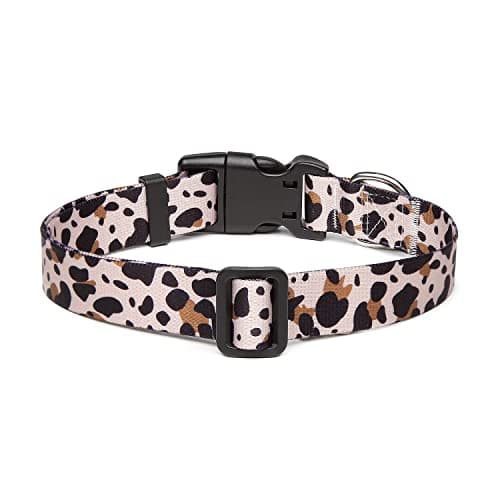 Collier nylon Suredoo léopard S, chien en laisse détendue