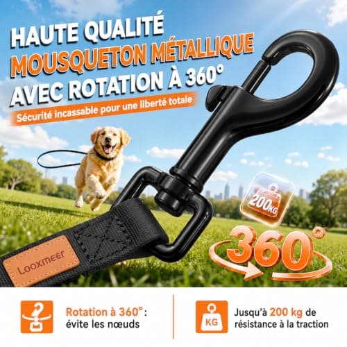 Longe nylon Looxmeer D1823 10 m pour le travail du rappel
