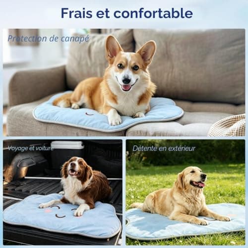 Tapis rafraîchissant RIOGOO lavable 110 x 76 cm