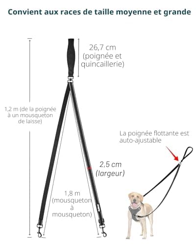 Laisse deux points PetBonus SP-PB-2PDL pour harnais