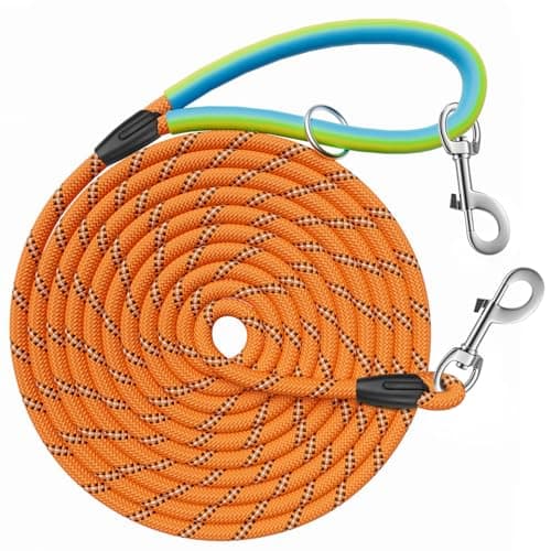 Longe corde Aystkniet 10 m 8 mm à deux mousquetons pivotants