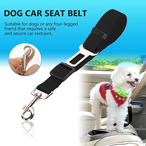 Ceinture de sécurité chien Redamancy 35-65 cm