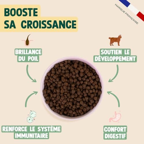Croquettes Chaton Franklin Poulet et Saumon 3 kg